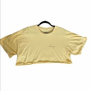 brandy melville “honey” tee (cropped)